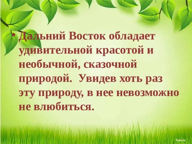 Дальний Восток обладает удивительной красотой и необычной, сказочной природой.   Увидев хоть раз эту природу, в нее невозможно не влюбиться. 