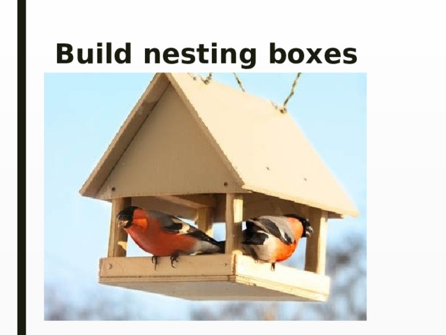 Build nesting boxes 