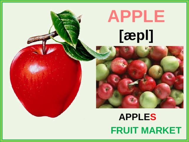 APPLE [æpl] APPLE S FRUIT MARKET 