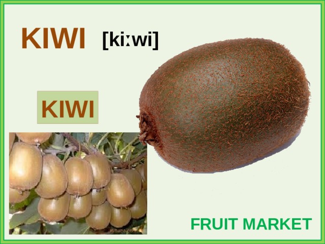 KIWI [kiːwi] KIWI FRUIT MARKET 