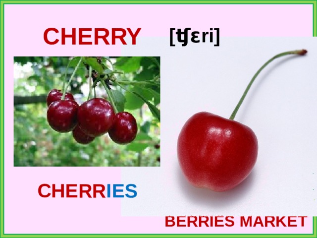 CHERRY [ʧɛri] CHERR IES BERRIES MARKET 