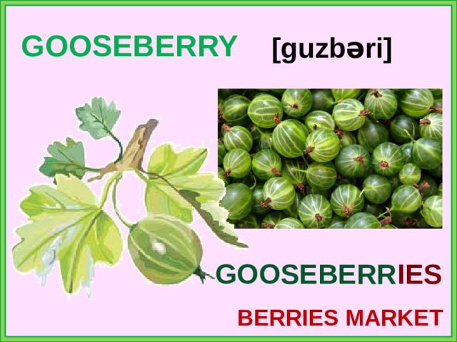 GOOSEBERRY [guzbəri] GOOSEBERR IES BERRIES MARKET 