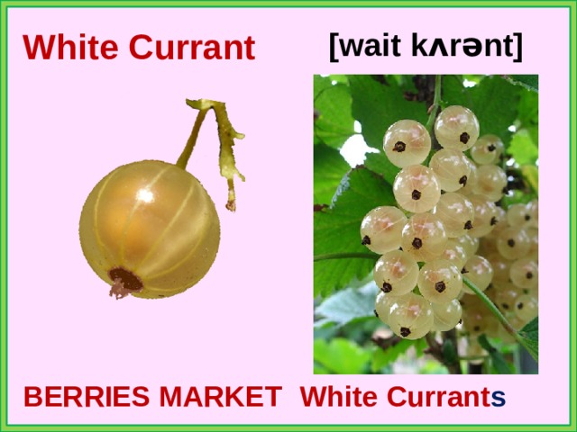 White Currant [wait kʌrənt] BERRIES MARKET White Currant s 