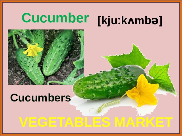 Cucumber [kjuːkʌmbə] Cucumbers VEGETABLES MARKET 