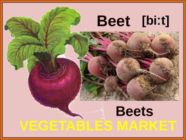 Beet [biːt] Beets VEGETABLES MARKET 