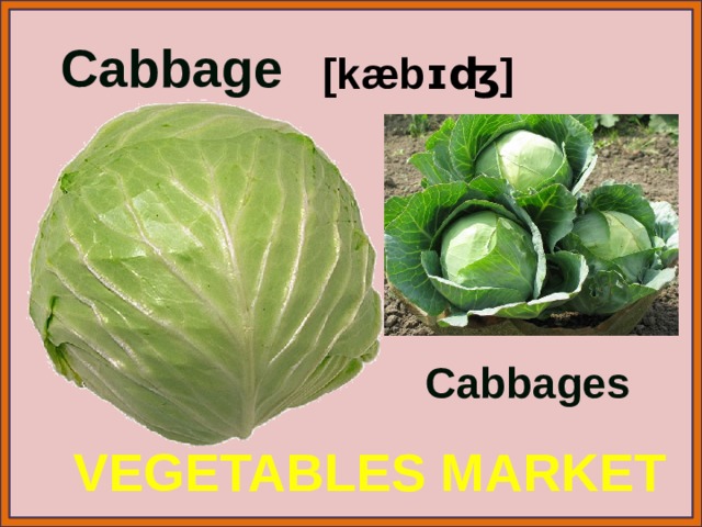 Cabbage [kæbɪʤ] Cabbages VEGETABLES MARKET 