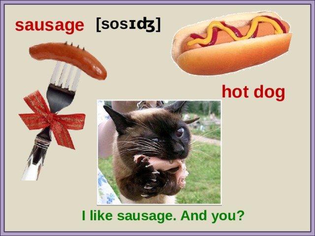 sausage [sosɪʤ] hot dog I like sausage. And you? 