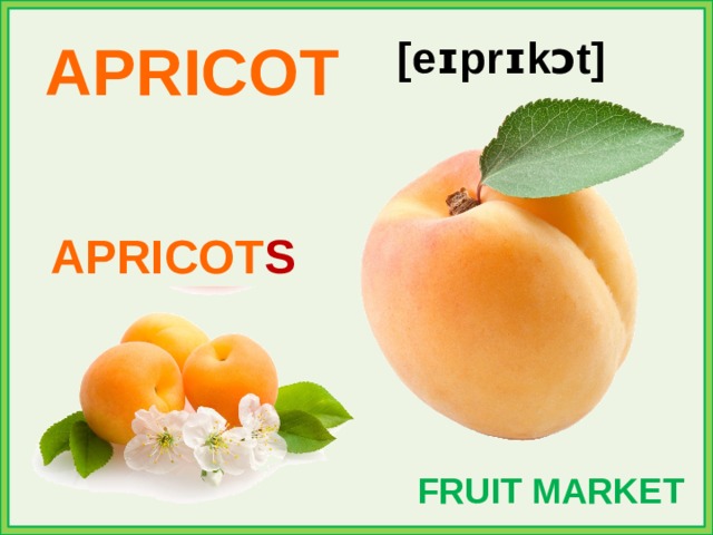 APRICOT [eɪprɪkɔt] APRICOT S FRUIT MARKET 