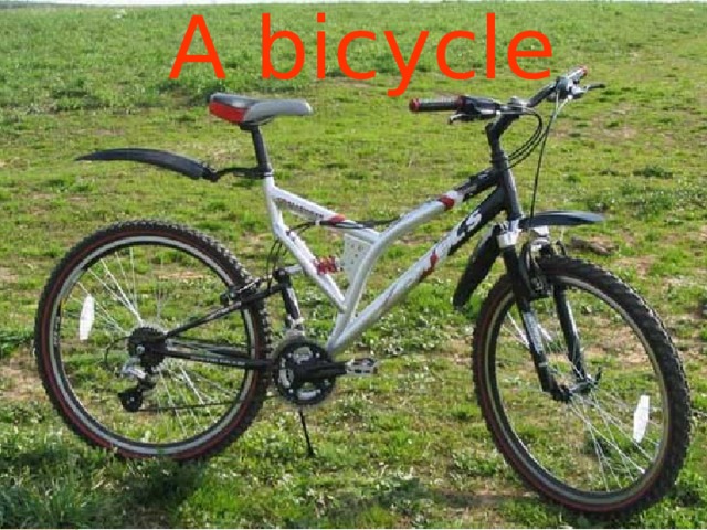 A bicycle 