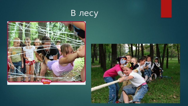 В лесу 