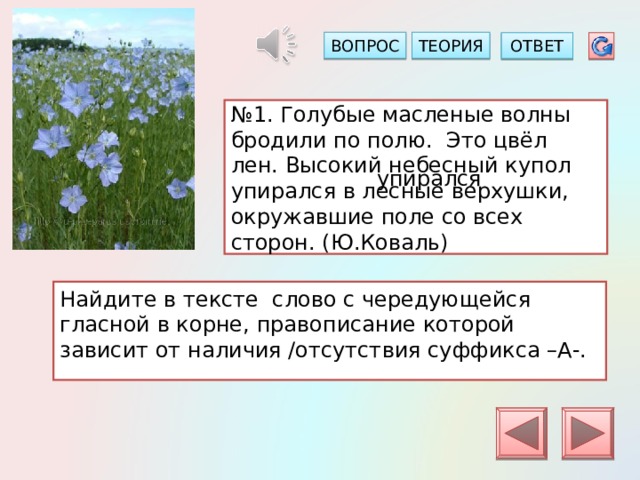 ТЕОРИЯ ВОПРОС ОТВЕТ № 1. Голубые масленые волны бродили по полю. Это цвёл лен. Высокий небесный купол упирался в лесные верхушки, окружавшие поле со всех сторон. (Ю.Коваль) упирался Найдите в тексте слово с чередующейся гласной в корне, правописание которой зависит от наличия /отсутствия суффикса –А-. 