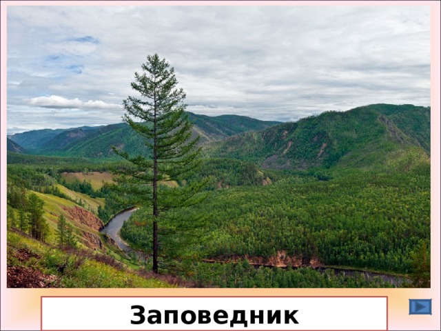 Заповедник 