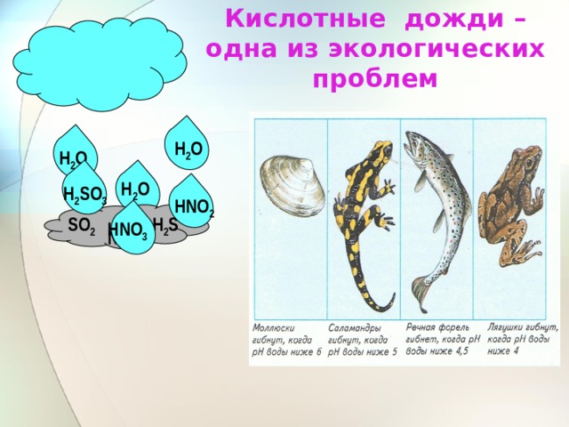 Кислотные дожди – одна из экологических проблем Н 2 О Н 2 О Н 2 О Н 2 SО 3 НNО 2 SО 2  Н 2 S   НNО 3 NО 2  
