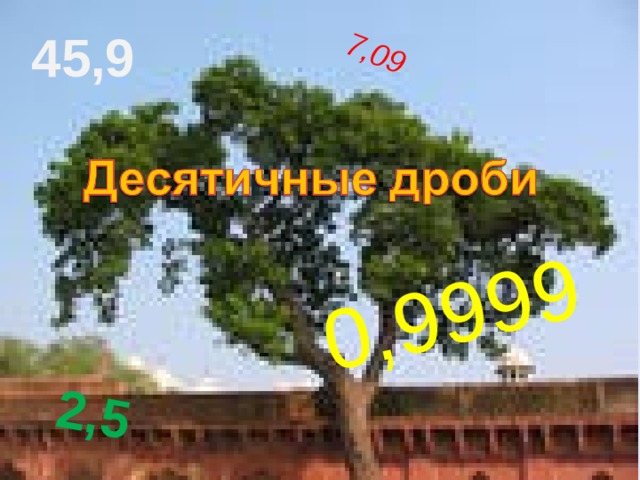 7,09 0,9999 2,5 45,9 