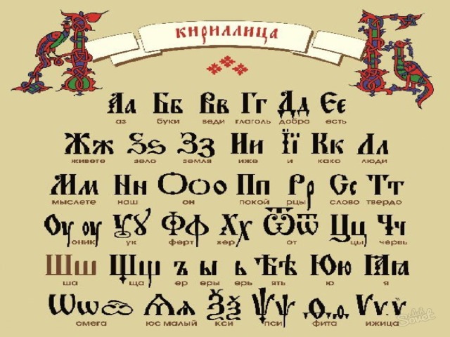 6 