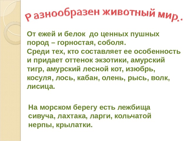 От ежей и белок до ценных пушных пород – горностая, соболя. Среди тех, кто составляет ее особенность и придает оттенок экзотики, амурский тигр, амурский лесной кот, изюбрь, косуля, лось, кабан, олень, рысь, волк, лисица. На морском берегу есть лежбища сивуча, лахтака, ларги, кольчатой нерпы, крылатки. 