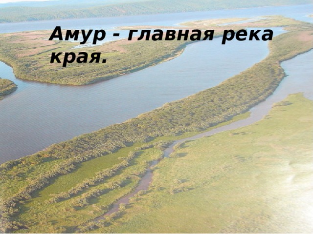 Амур - главная река края. 