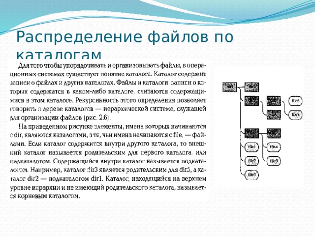 Распределение файлов по каталогам 