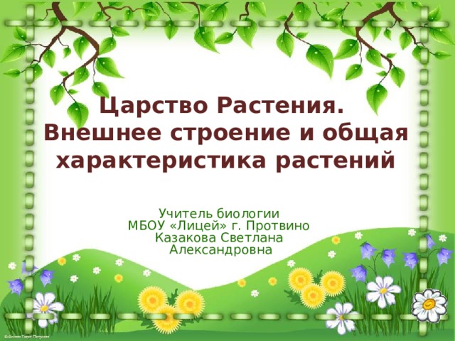 Царство Растения. Внешнее строение и общая характеристика растений Учитель биологии МБОУ «Лицей» г. Протвино Казакова Светлана Александровна 