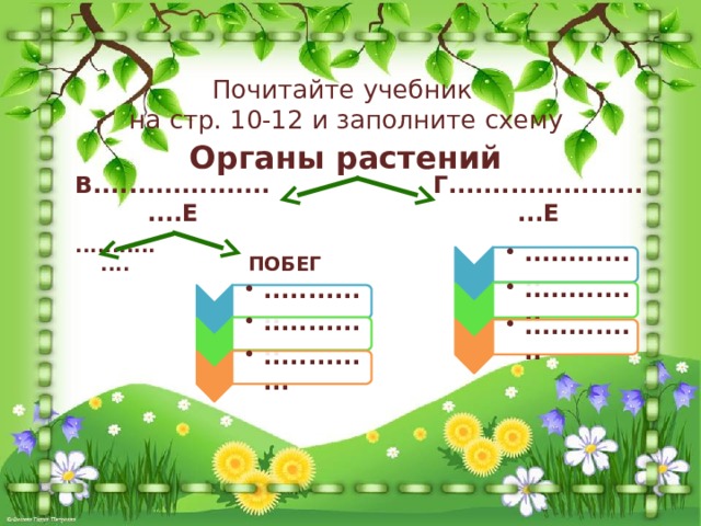 .............. .............. ............. ............. .............. .............. ............. ............. .............. .............. .............. .............. Почитайте учебник на стр. 10-12 и заполните схему Органы растений В........................Е Г.........................Е ПОБЕГ ............... 