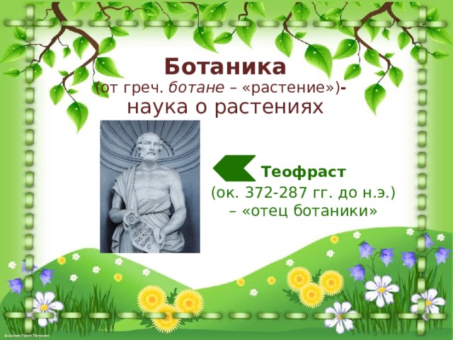  Ботаника  (от греч. ботане – «растение») -   наука о растениях Теофраст (ок. 372-287 гг. до н.э.) – «отец ботаники» 