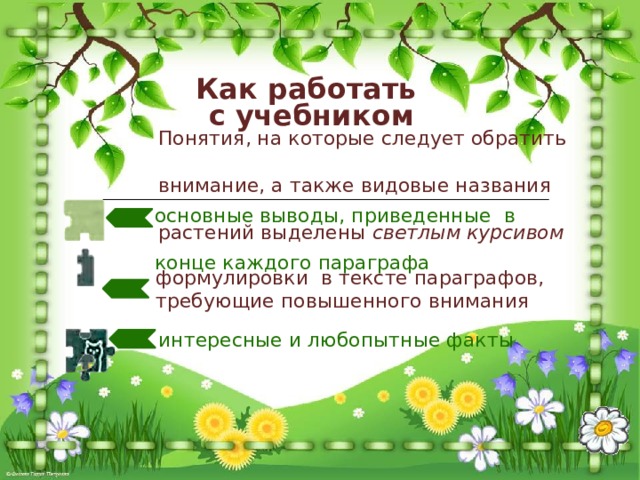 Как работать с учебником  Понятия, на которые следует обратить  внимание, а также видовые названия  растений выделены светлым курсивом  основные выводы, приведенные в  конце каждого параграфа формулировки в тексте параграфов, требующие повышенного внимания  интересные и любопытные факты 