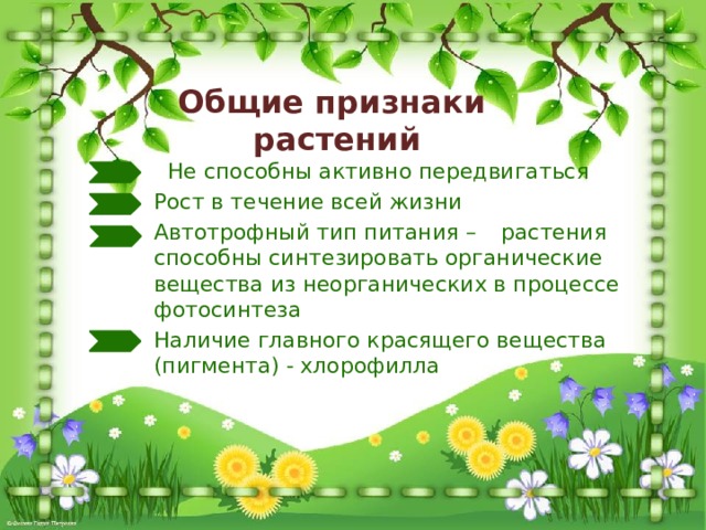 Общие признаки  растений   Не способны активно передвигаться   Рост в течение всей жизни   Автотрофный тип питания –  растения   способны синтезировать органические   вещества из неорганических в процессе   фотосинтеза   Наличие главного красящего вещества   (пигмента) - хлорофилла  