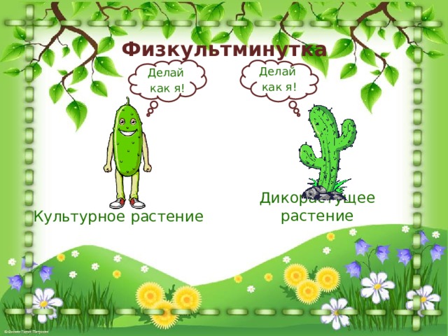 Физкультминутка Делай как я! Делай как я! Дикорастущее растение Культурное растение 