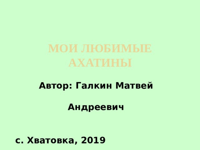    Мои любимые ахатины      Автор: Галкин Матвей Андреевич    с. Хватовка, 2019 