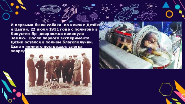 И первыми были собаки по кличке Дезик и Цыган. 22 июля 1951 года с полигона в Капустин Яр дворняжки покинули Землю. После первого эксперимента Дезик остался в полном благополучии. Цыган немного пострадал: слегка повредил кожу на брюхе. 