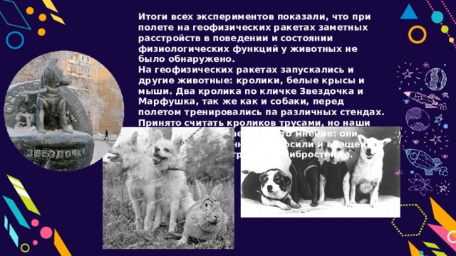 Итоги всех экспериментов показали, что при полете на геофизических ракетах заметных расстройств в поведении и состоянии физиологических функций у животных не было обнаружено. На геофизических ракетах запускались и другие животные: кролики, белые крысы и мыши. Два кролика по кличке Звездочка и Марфушка, так же как и собаки, перед полетом тренировались па различных стендах. Принято считать кроликов трусами, но наши подопытные опровергали это мнение: они смело и мужественно переносили и вращение на центрифуге, и тряску на вибростенде. 