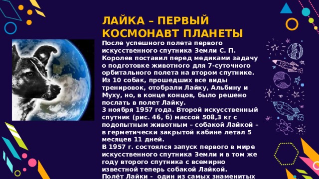 ЛАЙКА – ПЕРВЫЙ КОСМОНАВТ ПЛАНЕТЫ После успешного полета первого искусственного спутника Земли С. П. Королев поставил перед медиками задачу о подготовке животного для 7-суточного орбитального полета на втором спутнике. Из 10 собак, прошедших все виды тренировок, отобрали Лайку, Альбину и Муху, но, в конце концов, было решено послать в полет Лайку. 3 ноября 1957 года. Второй искусственный спутник (рис. 46, б) массой 508,3 кг с подопытным животным – собакой Лайкой – в герметически закрытой кабине летал 5 месяцев 11 дней. В 1957 г. состоялся запуск первого в мире искусственного спутника Земли и в том же году второго спутника с всемирно известной теперь собакой Лайкой. Полёт Лайки - один из самых знаменитых и известных подвигов. 
