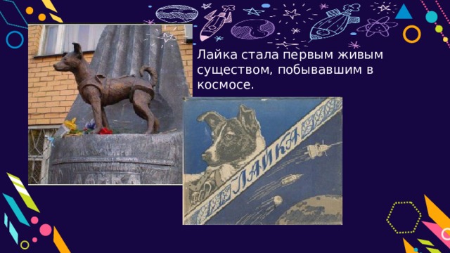 Лайка стала первым живым существом, побывавшим в космосе. 