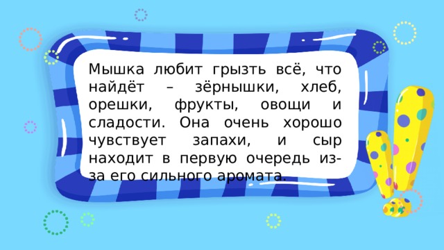 Мышка любит грызть всё, что найдёт – зёрнышки, хлеб, орешки, фрукты, овощи и сладости. Она очень хорошо чувствует запахи, и сыр находит в первую очередь из-за его сильного аромата. 