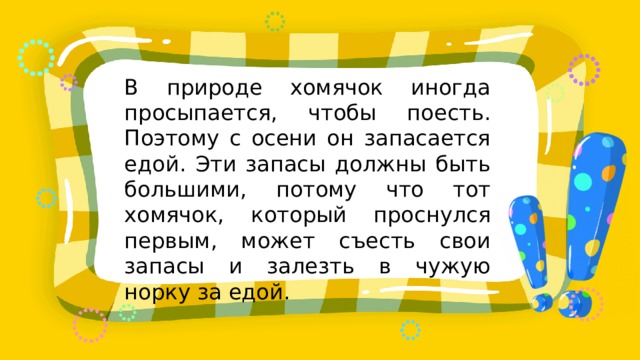 В природе хомячок иногда просыпается, чтобы поесть. Поэтому с осени он запасается едой. Эти запасы должны быть большими, потому что тот хомячок, который проснулся первым, может съесть свои запасы и залезть в чужую норку за едой. 