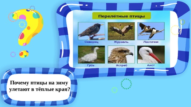 Почему птицы на зиму улетают в тёплые края? 