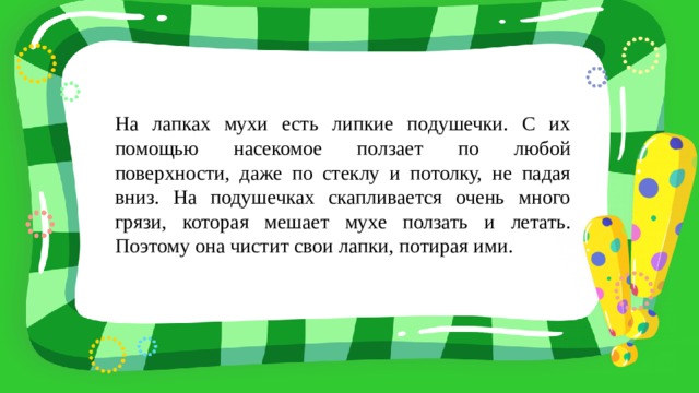 На лапках мухи есть липкие подушечки. С их помощью насекомое ползает по любой поверхности, даже по стеклу и потолку, не падая вниз. На подушечках скапливается очень много грязи, которая мешает мухе ползать и летать. Поэтому она чистит свои лапки, потирая ими. 