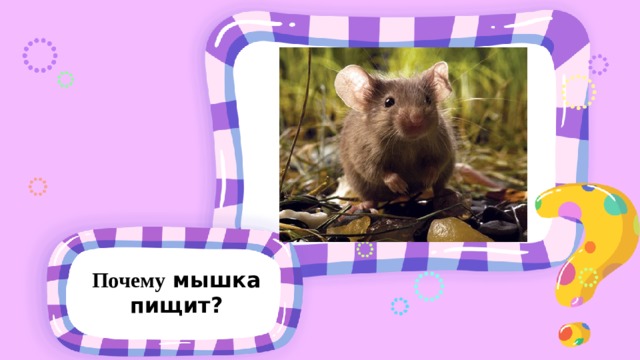 Почему мышка пищит? 