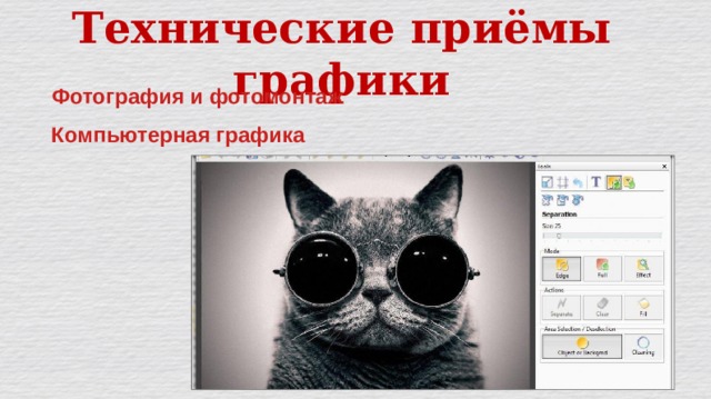 Технические приёмы графики Фотография и фотомонтаж Компьютерная графика 