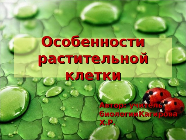 Особенности растительной клетки Автор: учитель биологииКагирова Х.Р. 