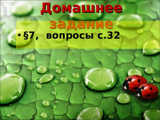 Домашнее задание §7, вопросы с.32 