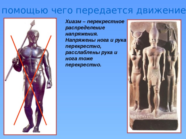 С помощью чего передается движение? Хиазм – перекрестное распределение напряжения. Напряжены нога и рука перекрестно, расслаблены рука и нога тоже перекрестно. 