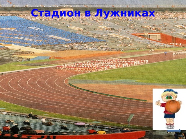 Стадион в Лужниках 