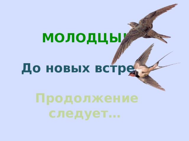 МОЛОДЦЫ!  До новых встреч.   Продолжение следует… 