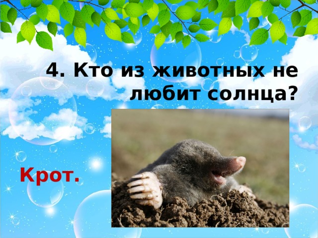 4. Кто из животных не любит солнца?   Крот.  