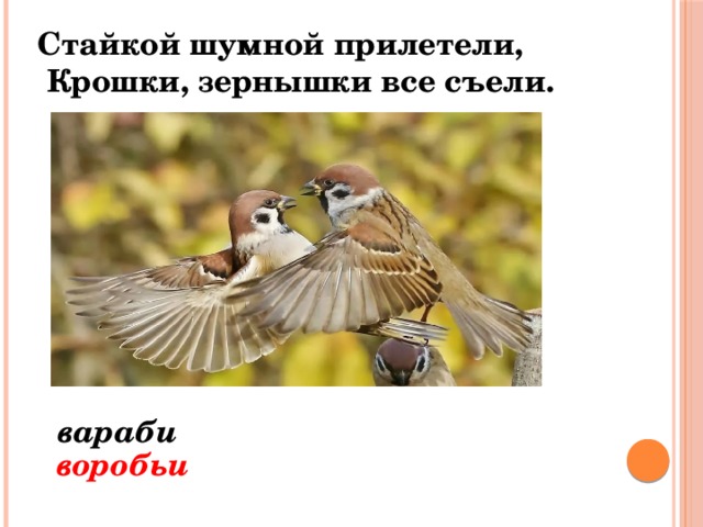 Стайкой шумной прилетели,  Крошки, зернышки все съели. вараби воробьи 