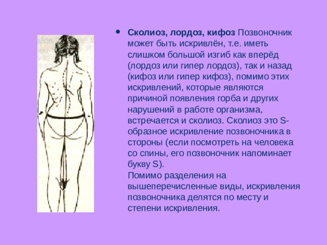 Сколиоз, лордоз, кифоз  Позвоночник может быть искривлён, т.е. иметь слишком большой изгиб как вперёд (лордоз или гипер лордоз), так и назад (кифоз или гипер кифоз), помимо этих искривлений, которые являются причиной появления горба и других нарушений в работе организма, встречается и сколиоз. Сколиоз это S-образное искривление позвоночника в стороны (если посмотреть на человека со спины, его позвоночник напоминает букву S).  Помимо разделения на вышеперечисленные виды, искривления позвоночника делятся по месту и степени искривления. 