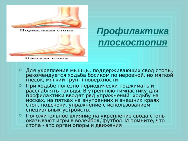 Профилактика плоскостопия Для укрепления мышцы, поддерживающих свод стопы, рекомендуется ходьба босиком по неровной, но мягкой (песок, мягкий грунт) поверхности. При ходьбе полезно периодически поджимать и расслаблять пальцы. В утреннюю гимнастику для профилактики вводят ряд упражнений: ходьбу на носках, на пятках на внутренних и внешних краях стоп, подскоки, упражнение с использованием специальных устройств. Положительное влияние на укрепление свода стопы оказывают игры в волейбол, футбол. И помните, что стопа - это орган опоры и движения 