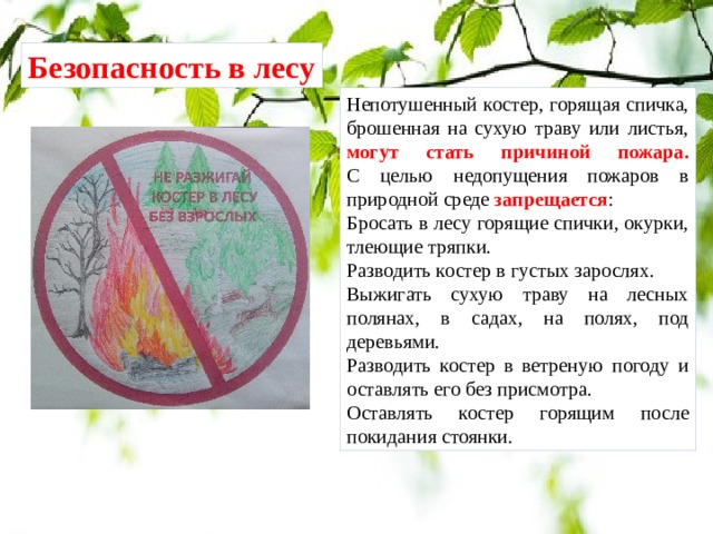 Безопасность в лесу Непотушенный костер, горящая спичка, брошенная на сухую траву или листья, могут стать причиной пожара.  С целью недопущения пожаров в природной среде запрещается : Бросать в лесу горящие спички, окурки, тлеющие тряпки. Разводить костер в густых зарослях. Выжигать сухую траву на лесных полянах, в садах, на полях, под деревьями. Разводить костер в ветреную погоду и оставлять его без присмотра. Оставлять костер горящим после покидания стоянки. 
