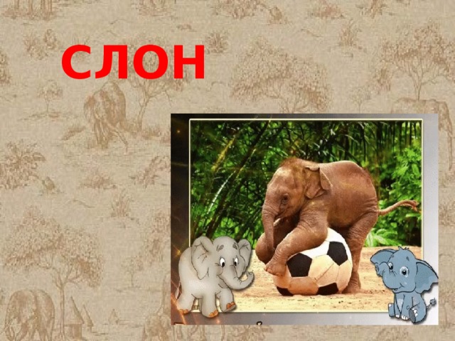 СЛОН 